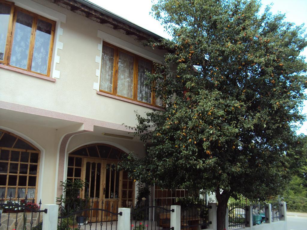 Amfora Guest House Byala  Extérieur photo